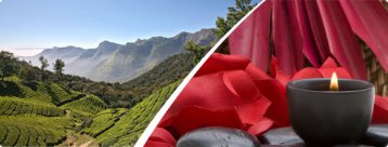 Apaiser le système nerveux