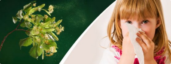 Apaiser les réactions du corps