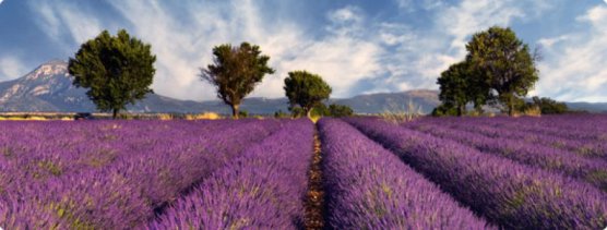 Ericksonian hypnosis